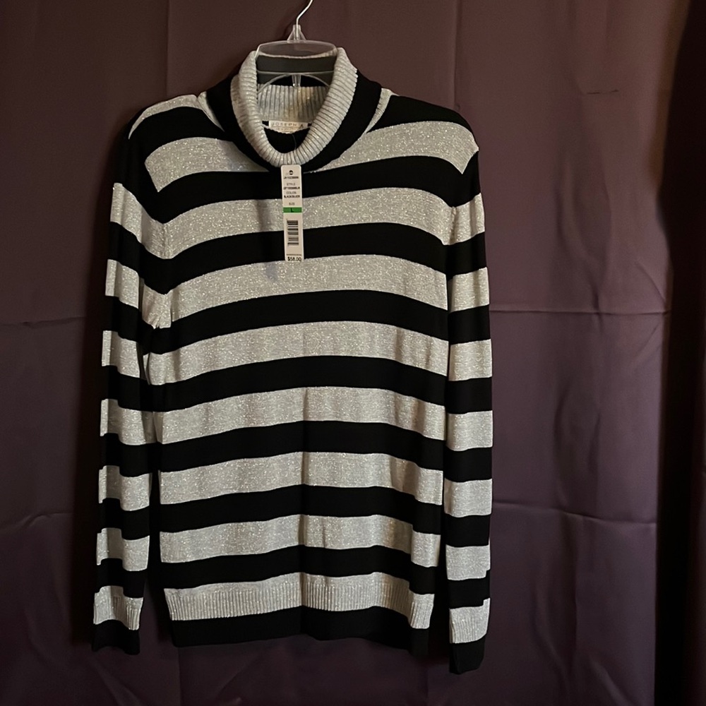 Stripped Turtleneck Sweater Black and Silver